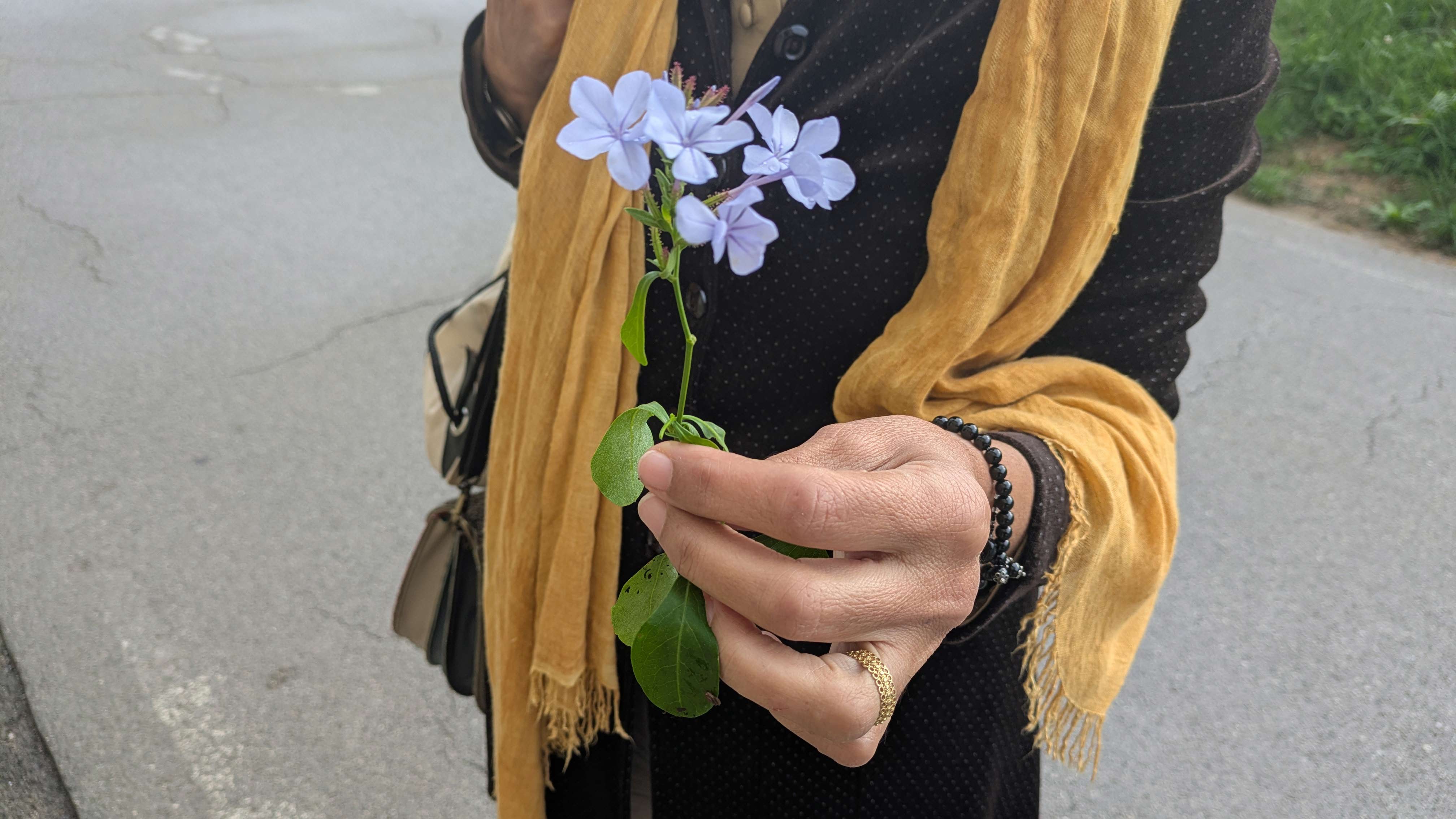 Il fiore sospeso