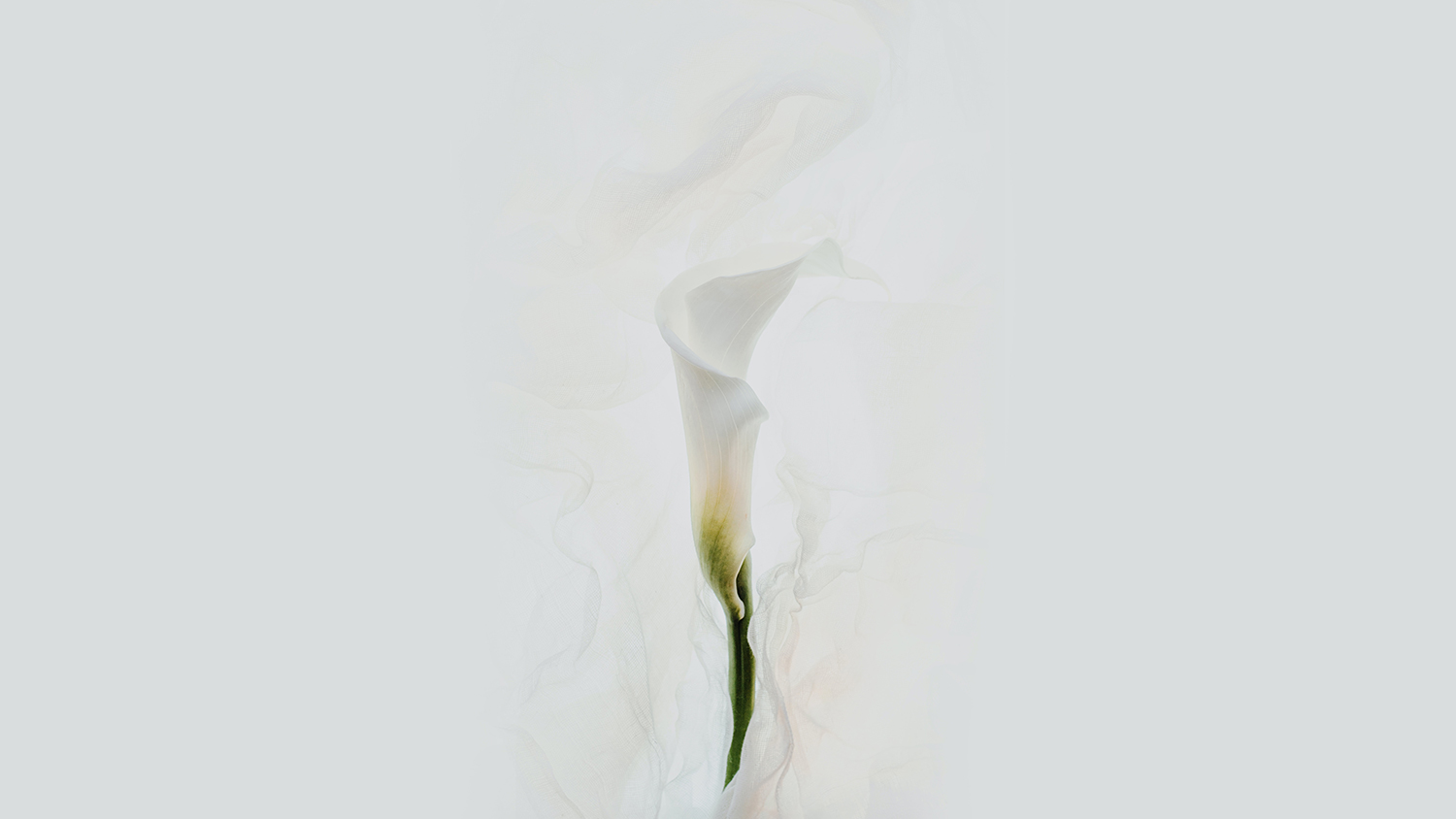 Maschile e femminile - 3