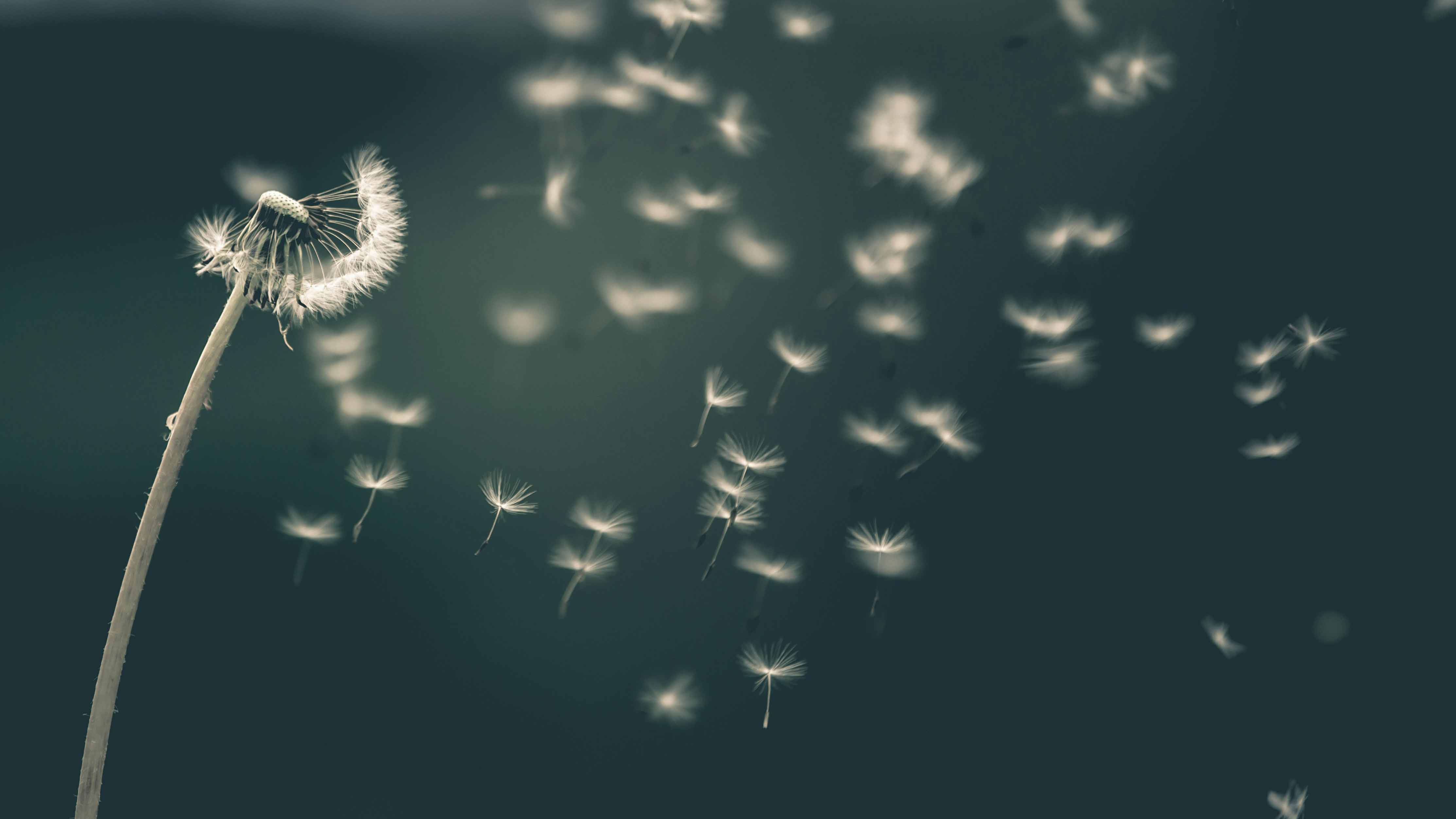 Morte e dintorni - dopo