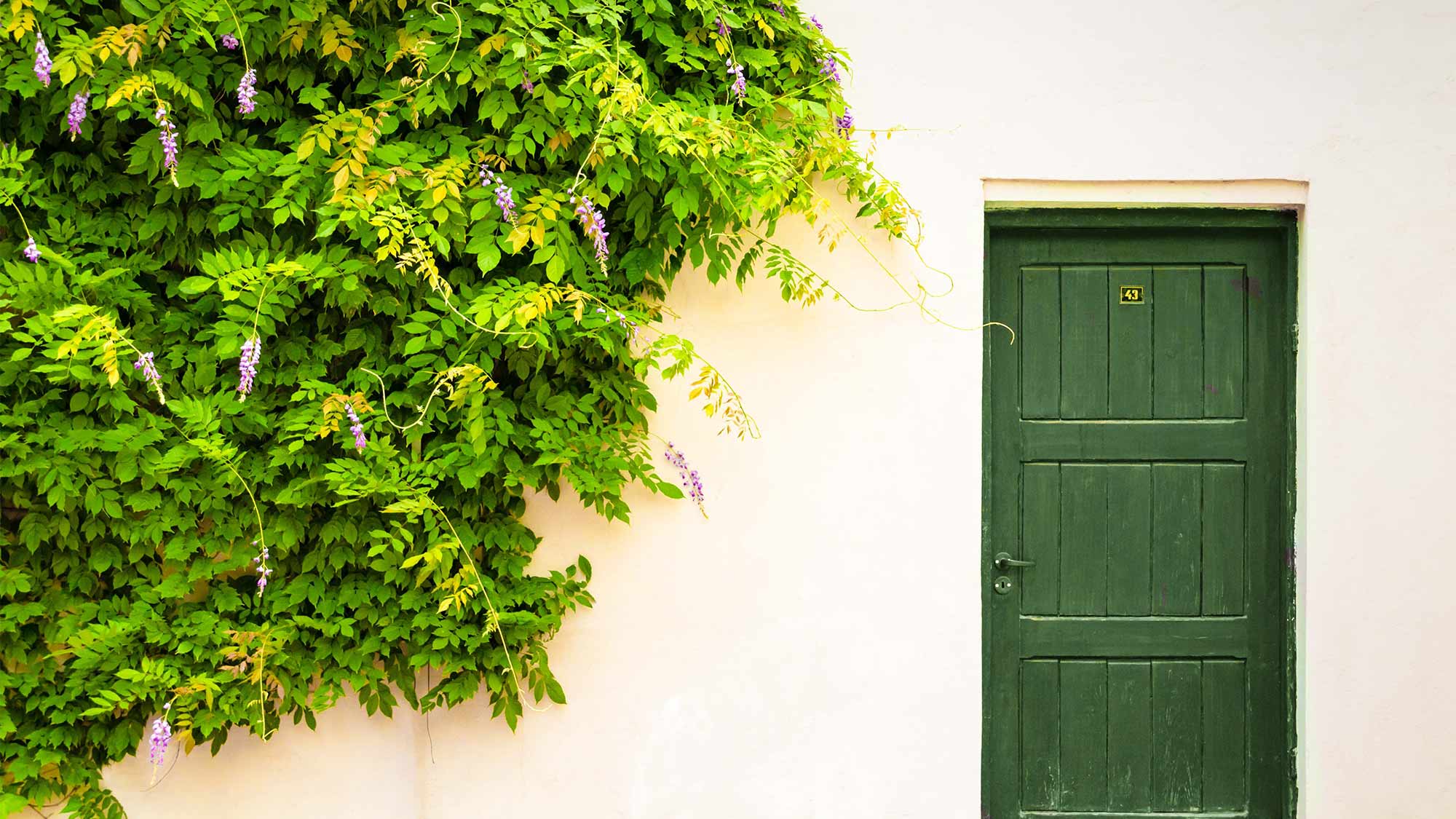 La porta nel muro